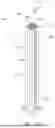 Fig. 42 - POST, KIT AND RAILING SYSTEM INCLUDING THE SAME