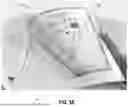 Fig. 12 - DEMARCATION TEMPLATE FOR HAZARDOUS CONTAMINANT TESTING