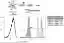 Fig. 05 - METHODS FOR OBTAINING ANTIBODY MOLECULES WITH HIGH AFFINITY