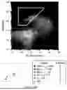 Fig. 14 - METHODS FOR OBTAINING ANTIBODY MOLECULES WITH HIGH AFFINITY