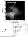 Fig. 15 - METHODS FOR OBTAINING ANTIBODY MOLECULES WITH HIGH AFFINITY