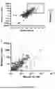 Fig. 19 - METHODS FOR OBTAINING ANTIBODY MOLECULES WITH HIGH AFFINITY