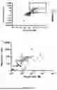 Fig. 20 - METHODS FOR OBTAINING ANTIBODY MOLECULES WITH HIGH AFFINITY