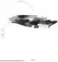 Fig. 06 - ACCELEROMETER
