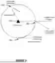 Fig. 06 - VELOCITY ESTIMATION WITH RADIO FREQUENCY (RF) SENSING