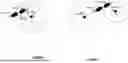 Fig. 09 - VELOCITY ESTIMATION WITH RADIO FREQUENCY (RF) SENSING