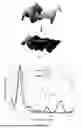 Fig. 04 - EYE-LIKE FOCUSING METASURFACE SYSTEM DRIVEN BY SUPERVISED-EVOLVING LEARNING ALGORITHM