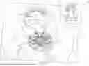 Fig. 49 - INTERACTIVE AMUSEMENT ATTRACTION SYSTEM AND METHOD
