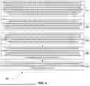 Fig. 05 - INTENSITY-INDEPENDENT PRECURSOR INFERENCE IN MASS SPECTROSCOPY