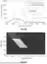 Fig. 07 - INTENSITY-INDEPENDENT PRECURSOR INFERENCE IN MASS SPECTROSCOPY