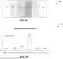 Fig. 05 - METHOD FOR ION IMPLANTATION THAT ADJUSTS A TARGET'S TILT ANGLE BASED ON A DISTRIBUTION OF EJECTED IONS FROM A TARGET