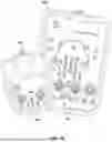 Fig. 09 - Detachable Connector Receptacles
