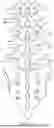 Fig. 02 - METHODS AND APPARATUS FOR COUPLING A PROSTHESIS TO A SPINAL SEGMENT
