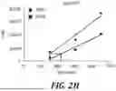 Fig. 19 - METHODS OF TREATING SWI/SNF DEREGULATED CANCERS