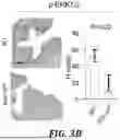 Fig. 22 - METHODS OF TREATING SWI/SNF DEREGULATED CANCERS