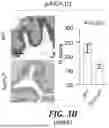 Fig. 23 - METHODS OF TREATING SWI/SNF DEREGULATED CANCERS
