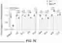 Fig. 25 - METHODS OF TREATING SWI/SNF DEREGULATED CANCERS