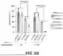 Fig. 42 - METHODS OF TREATING SWI/SNF DEREGULATED CANCERS