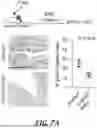 Fig. 54 - METHODS OF TREATING SWI/SNF DEREGULATED CANCERS