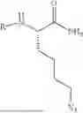 Fig. 02 - TRANSGLUTAMINASE CONJUGATION METHOD AND LINKER