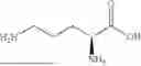 Fig. 08 - TRANSGLUTAMINASE CONJUGATION METHOD AND LINKER