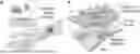 Fig. 01 - WIRELESS CLOSED-LOOP SMART BANDAGE FOR CHRONIC WOUND MANAGEMENT AND ACCELERATED TISSUE REGENERATION