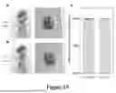 Fig. 34 - WIRELESS CLOSED-LOOP SMART BANDAGE FOR CHRONIC WOUND MANAGEMENT AND ACCELERATED TISSUE REGENERATION