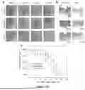 Fig. 43 - WIRELESS CLOSED-LOOP SMART BANDAGE FOR CHRONIC WOUND MANAGEMENT AND ACCELERATED TISSUE REGENERATION