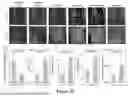 Fig. 46 - WIRELESS CLOSED-LOOP SMART BANDAGE FOR CHRONIC WOUND MANAGEMENT AND ACCELERATED TISSUE REGENERATION