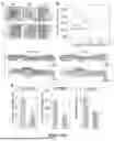 Fig. 53 - WIRELESS CLOSED-LOOP SMART BANDAGE FOR CHRONIC WOUND MANAGEMENT AND ACCELERATED TISSUE REGENERATION