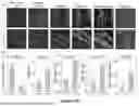 Fig. 55 - WIRELESS CLOSED-LOOP SMART BANDAGE FOR CHRONIC WOUND MANAGEMENT AND ACCELERATED TISSUE REGENERATION