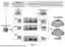 Fig. 02 - OPTIMAL TARGET SELECTION FOR NON-INVASIVE NEUROMODULATION