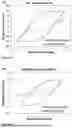 Fig. 08 - IMPREGNATION OF CERAMIC COMPOSITE MATERIAL