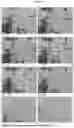 Fig. 104 - STABLE SALT AND CRYSTAL FORMS OF 2-[3-({1-[2-(DIMETHYLAMINO)ETHYL]-2-(2,2-DIMETHYLPROPYL)-1H-1,3-BENZODIAZOL-5-YL}SULFONYL)AZETIDIN-1-YL]ETHAN-1-OL