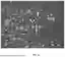 Fig. 15 - STABLE SALT AND CRYSTAL FORMS OF 2-[3-({1-[2-(DIMETHYLAMINO)ETHYL]-2-(2,2-DIMETHYLPROPYL)-1H-1,3-BENZODIAZOL-5-YL}SULFONYL)AZETIDIN-1-YL]ETHAN-1-OL