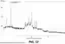 Fig. 53 - STABLE SALT AND CRYSTAL FORMS OF 2-[3-({1-[2-(DIMETHYLAMINO)ETHYL]-2-(2,2-DIMETHYLPROPYL)-1H-1,3-BENZODIAZOL-5-YL}SULFONYL)AZETIDIN-1-YL]ETHAN-1-OL