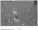 Fig. 79 - STABLE SALT AND CRYSTAL FORMS OF 2-[3-({1-[2-(DIMETHYLAMINO)ETHYL]-2-(2,2-DIMETHYLPROPYL)-1H-1,3-BENZODIAZOL-5-YL}SULFONYL)AZETIDIN-1-YL]ETHAN-1-OL