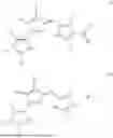 Fig. 09 - Prodigiosin Analogs And Methods Of Use