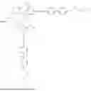 Fig. 14 - Macrocyclic Ligands with Picolinate Group(s), Complexes and Medical Uses Thereof