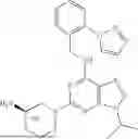 Fig. 50 - A CYCLIN-DEPENDENT KINASE INHIBITOR