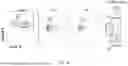 Fig. 09 - PROMOTING TRANSPLANTATION TOLERANCE