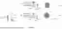 Fig. 02 - COMPOSITION AND METHOD FOR ENHANCING PHOTOSYNTHETIC EFFICIENCY, GROWTH AND/OR LIPID PRODUCTION OF MICROORGANISMS