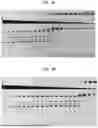 Fig. 02 - High Fidelity Restriction Endonucleases