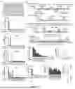 Fig. 06 - CRISPR-BASED PROTEIN BARCODING AND SURFACE ASSEMBLY