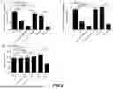 Fig. 05 - CHIMERIC COMPLEX AND THERAPEUTIC USES THEREOF