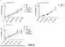 Fig. 06 - CHIMERIC COMPLEX AND THERAPEUTIC USES THEREOF
