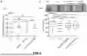 Fig. 11 - CHIMERIC COMPLEX AND THERAPEUTIC USES THEREOF