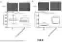 Fig. 13 - CHIMERIC COMPLEX AND THERAPEUTIC USES THEREOF