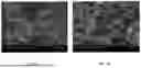 Fig. 10 - METHOD OF LEACHING METAL-CONTAINING MATERIALS