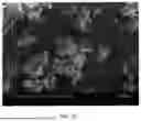 Fig. 11 - METHOD OF LEACHING METAL-CONTAINING MATERIALS